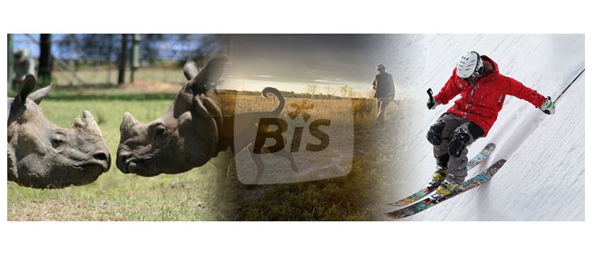 HD receiver and cam Bis Ready with Bis TV Panorama subscription